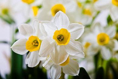 《麦登橄榄球24》打破系列首周数字销量记录